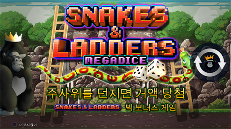 5 라이언즈 골드